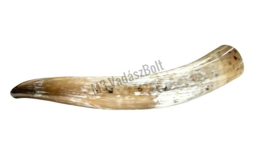 Bőgőkürt 60-65 cm